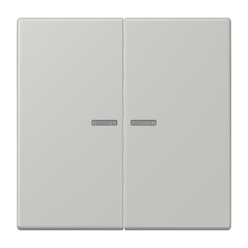Изображение LC995KO5205  Клавиша с окошком - завод JUNG