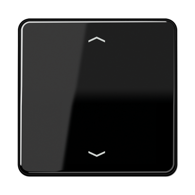 Изображение CD590PSW  Клавиша для одинарной кнопки BCU; черная - завод JUNG