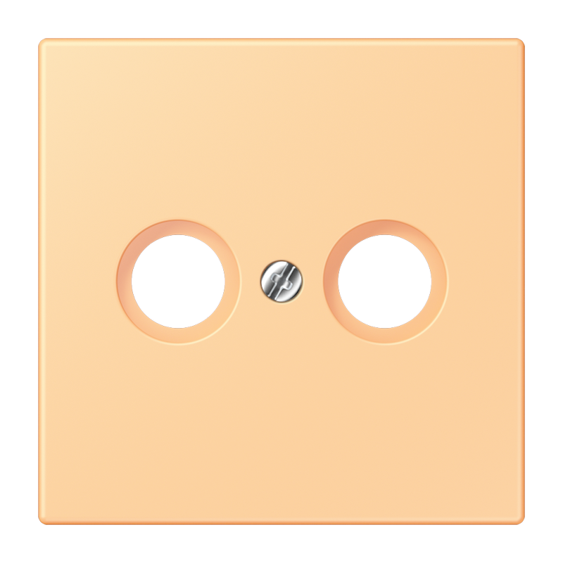 Изображение LC990TV258  Kрышка - завод JUNG