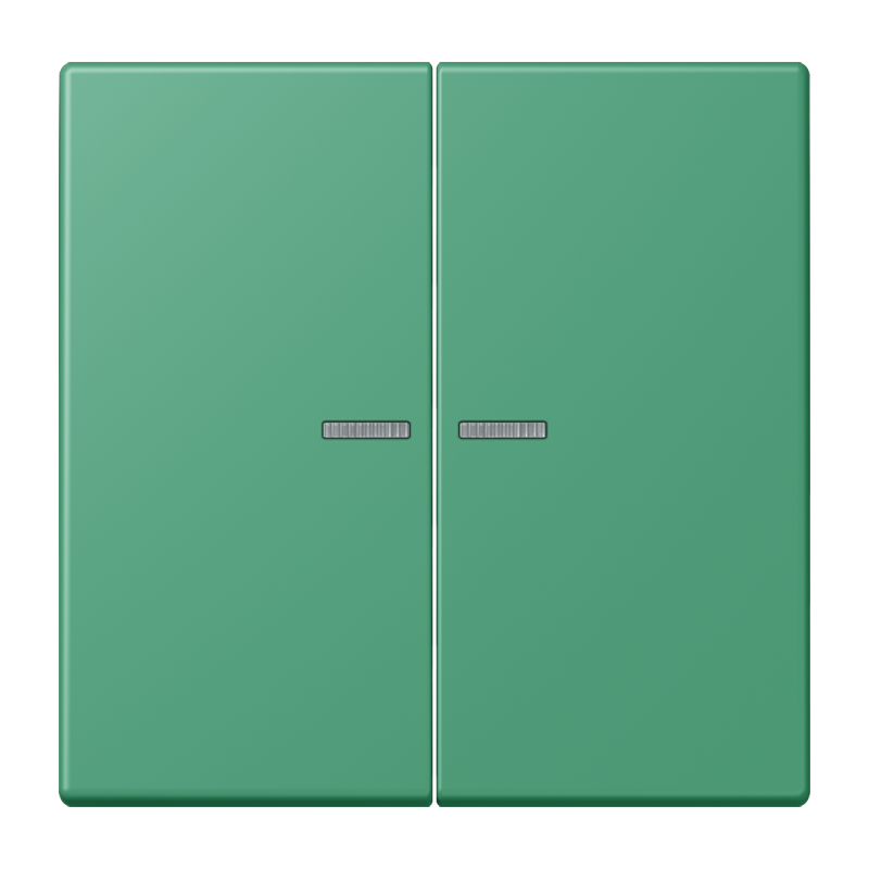 Изображение LC995KO5250  Клавиша с окошком - завод JUNG