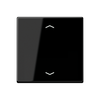 Изображение A590PSW  Клавиша для одинарной кнопки BCU; черная - завод JUNG
