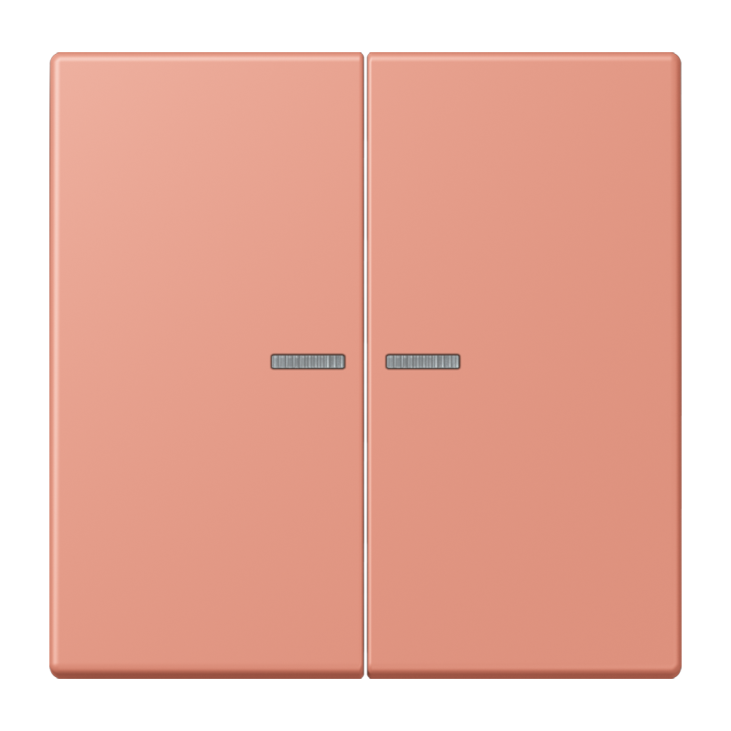 Изображение LC995KO5233  Клавиша с окошком - завод JUNG