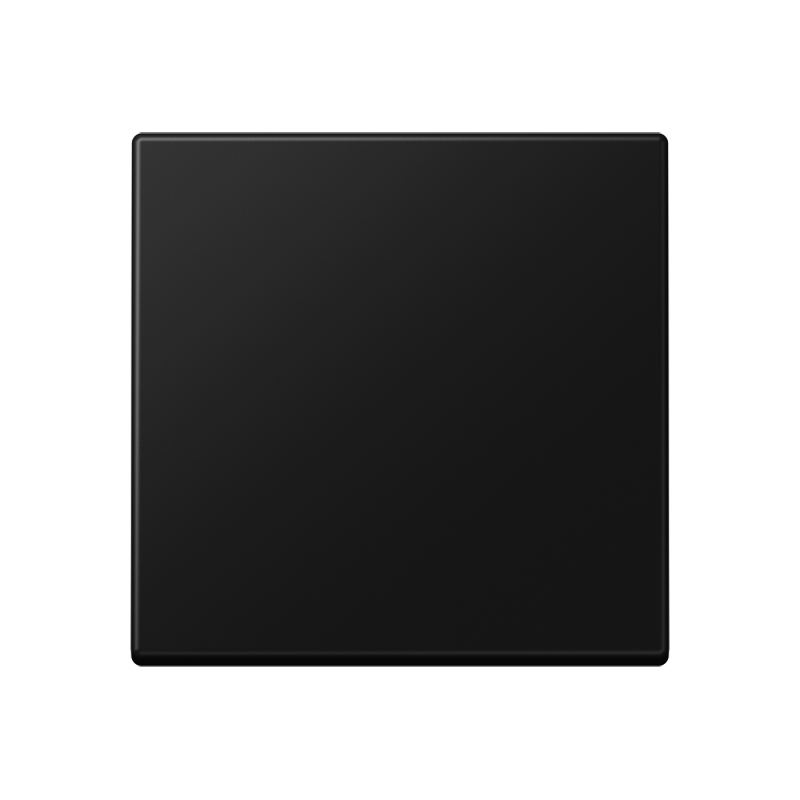 Изображение EP490SWM  Клавиша для одинарного выключателя; черный матовый - завод JUNG