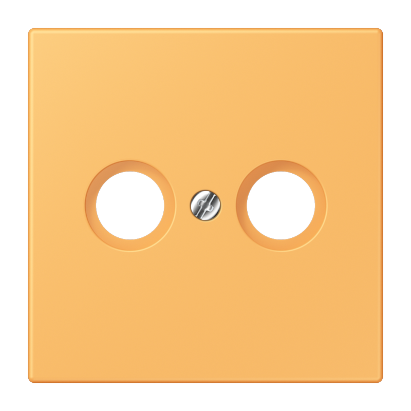 Изображение LC990TV254  Kрышка - завод JUNG