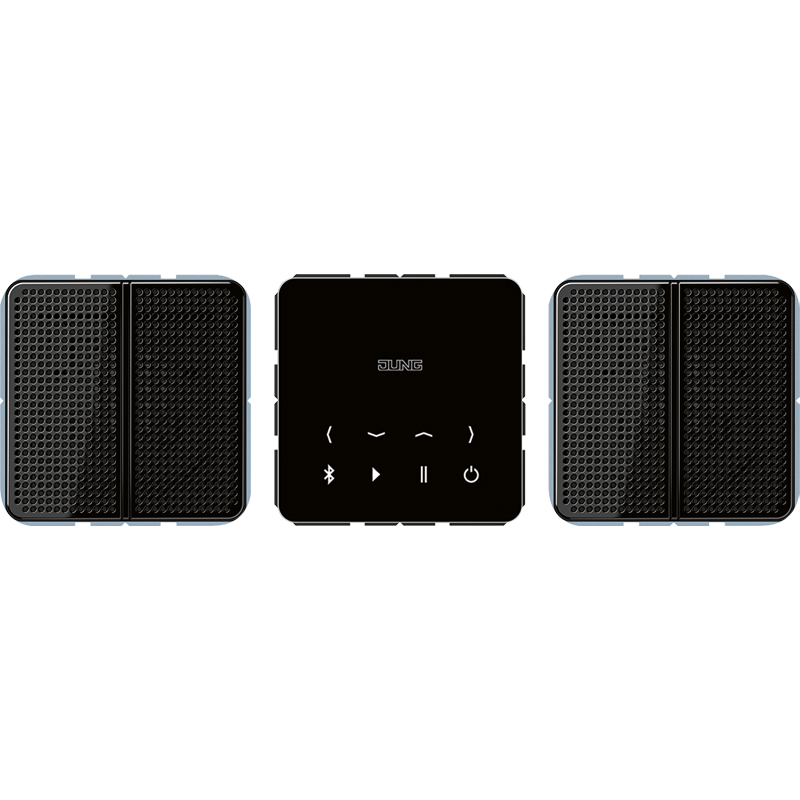 Изображение BTCCD528SW  Bluetooth Connect, stereo set - завод JUNG