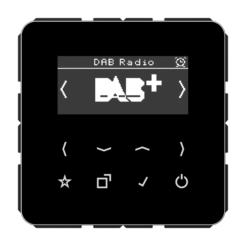 Изображение DABCDSW  Смарт радио DAB+ - завод JUNG