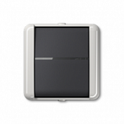 Изображение Кнопка с BCU